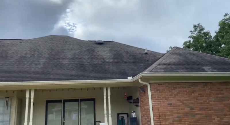 Issues  of black streak on roof in tampa