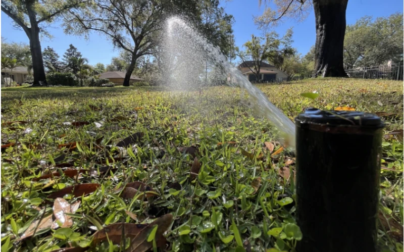 Tampa Water Rules